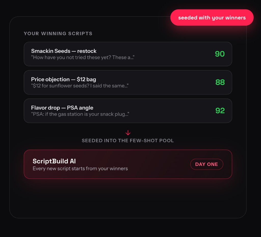 Your winning scripts seeded into ScriptBuild AI
